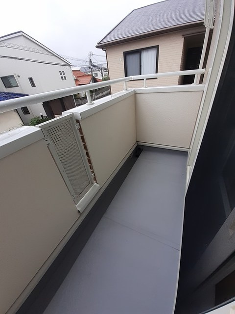 ミニヨンの展望