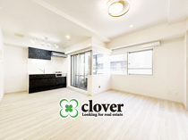 レインボーメセナの画像