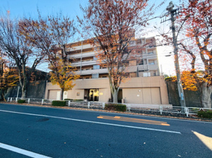 藤和シティホームズ青葉台の画像