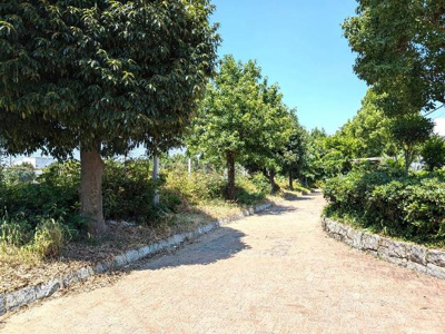 【周辺】 | ストレリチア | 南公園まで153ｍ