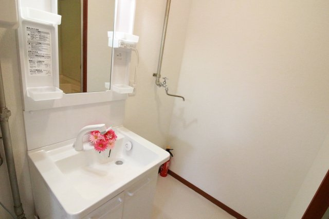 平田マンションの洗面所