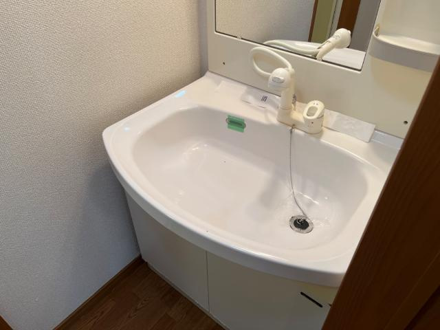 サン・ガーデンＢの洗面所|洗面