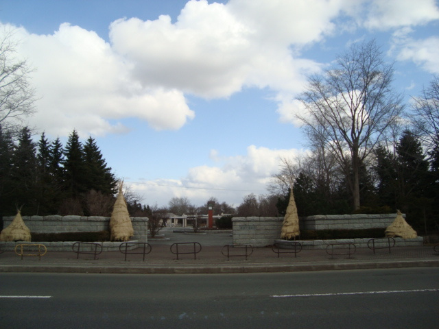 ディアベルジュ６０の周辺|百合が原公園まで100ｍ