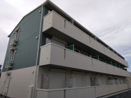 アイリスの画像