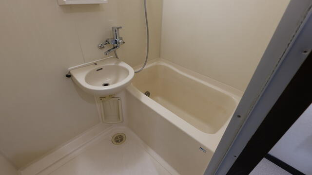 エバーグリーン・ハイツの洗面所