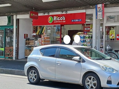 【周辺】 | エルミタージュⅡ | リコスまで220m