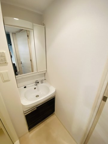 プレサンス南森町ライズの洗面所