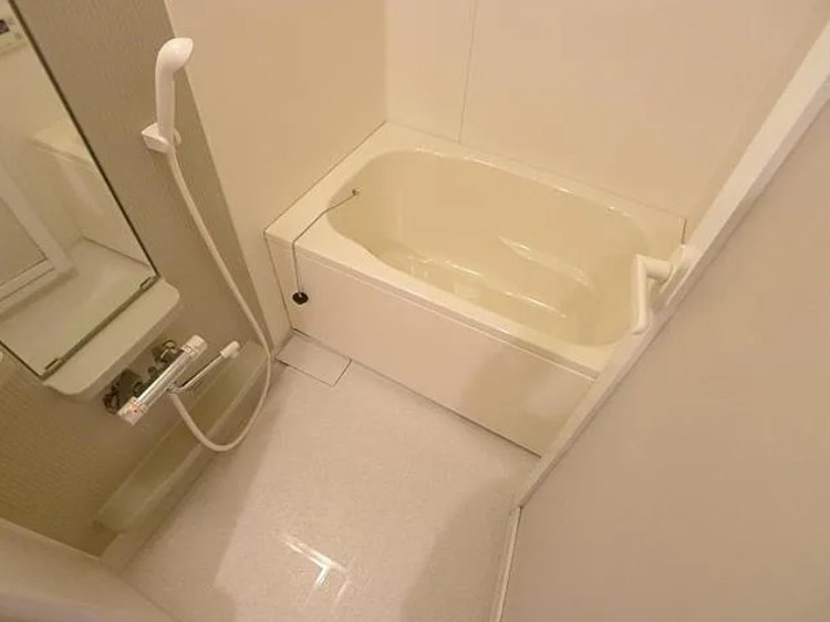 Ｇｒａｎｄｅｕｒ　亀有の浴室