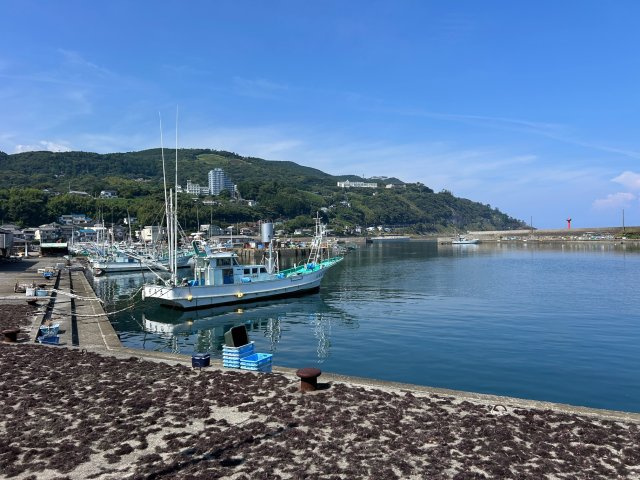 東伊豆町　稲取の周辺|眼前に見える美しい海岸線まではすぐ。