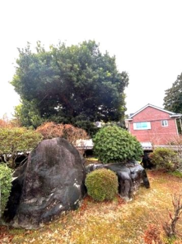 中古戸建　新城市川田　中古戸建の庭