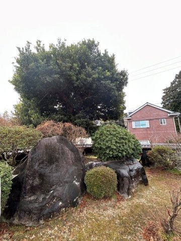 中古戸建　新城市川田　中古戸建の庭