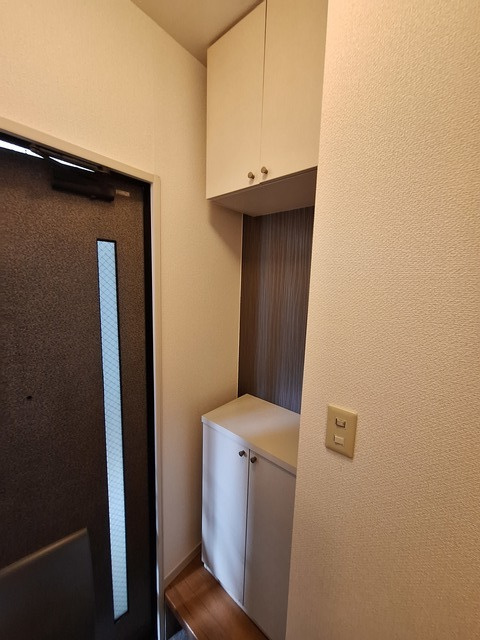 ディアスもえぎ野Ⅰ番館の玄関|上下収納可能な玄関シューズボックス