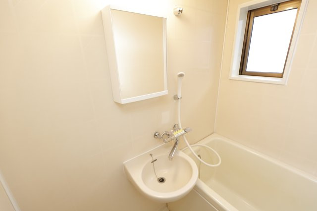 翠荘東Aの洗面所