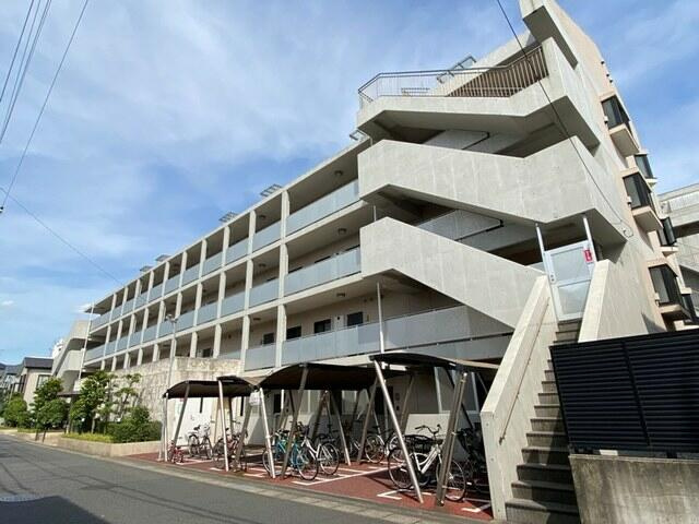 エバーグリーン