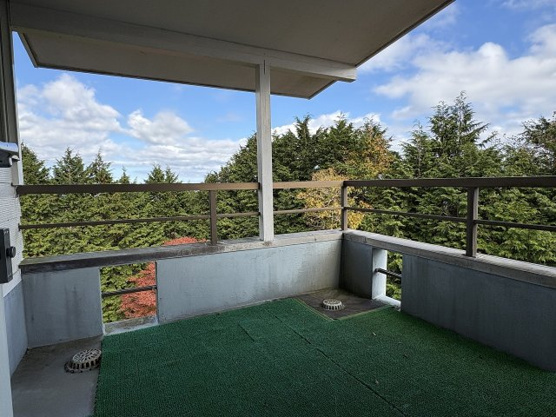 【バルコニー】 | 東急天城高原別荘地　戸建