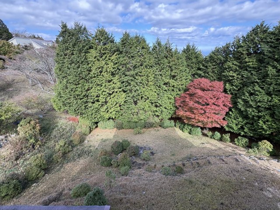 【庭】 | 東急天城高原別荘地　戸建