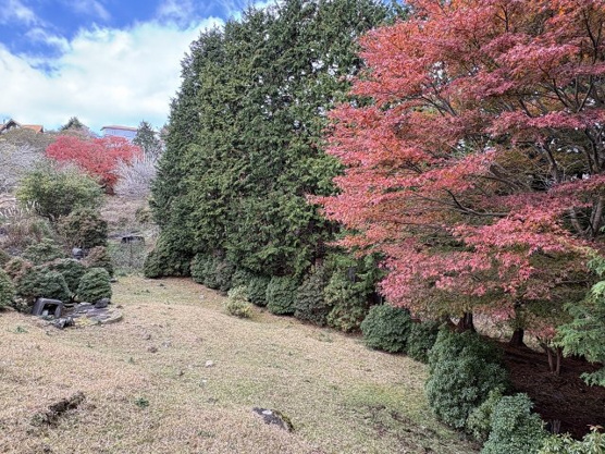 【庭】 | 東急天城高原別荘地　戸建