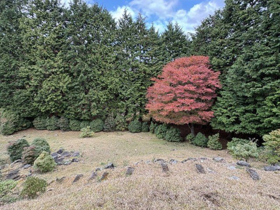 【庭】 | 東急天城高原別荘地　戸建