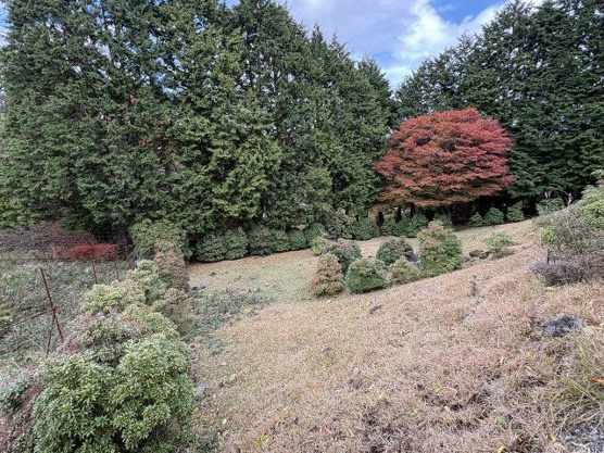 【庭】 | 東急天城高原別荘地　戸建