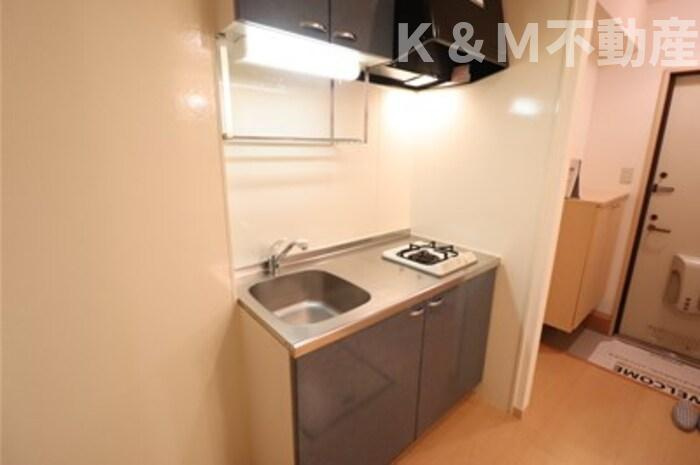 セジュール・ハッセブのキッチン|キッチンです