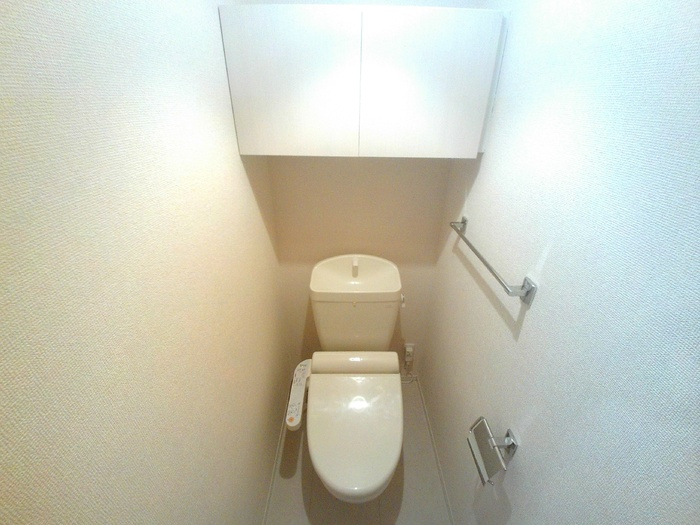 Ｏｈａｎａ南陽　Ａ棟のトイレ|落ち着いた色調のトイレです