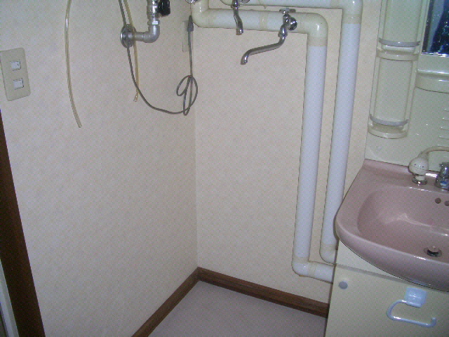 コーポ白山の洗面所