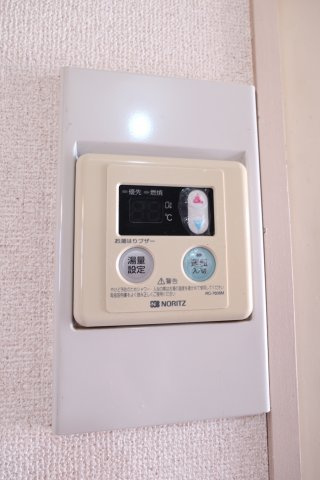 レシア西舞子のその他