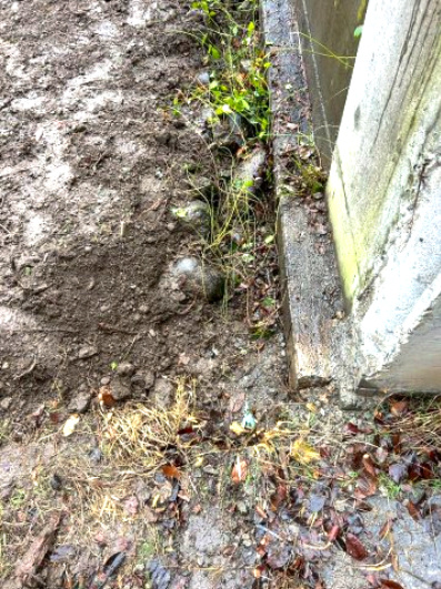 土地　上田市常磐城五丁目の外観