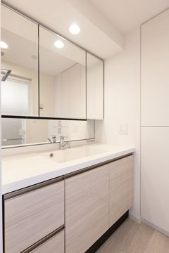 市川市市川１丁目の賃貸マンションの独立洗面台