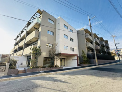 ミレーネ神戸住吉本町の画像