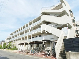 エバーグリーンの画像