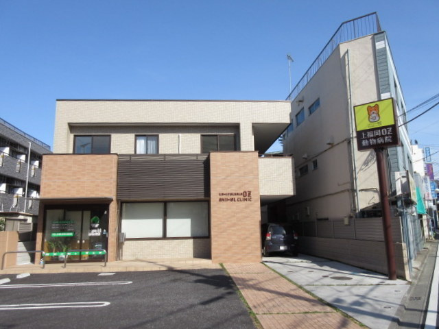 グランディール上福岡Ⅰのその他|上福岡動物病院