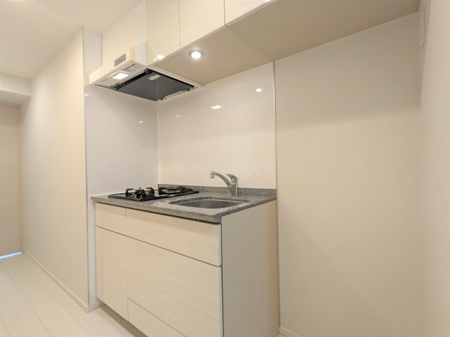 レスティア三軒茶屋　ペット相談　ネット0　オートロックのキッチン