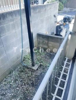 【庭】 | 広瀬荘