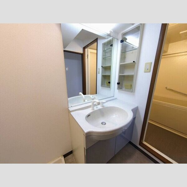 エルグランデ栄の洗面所