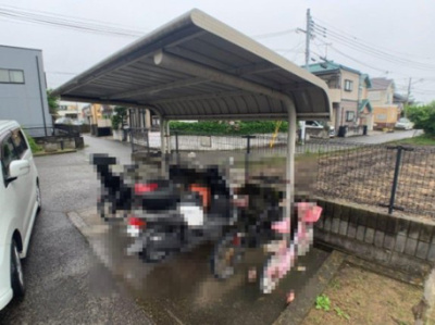 【その他共用部分】 | ベルフォーレ | 室内