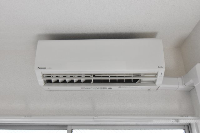 阪南パピレスの設備