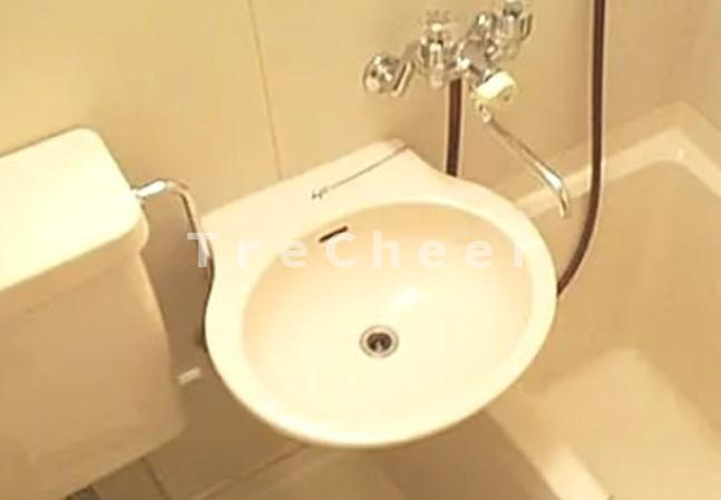 浮間セントラルヒルズの洗面所