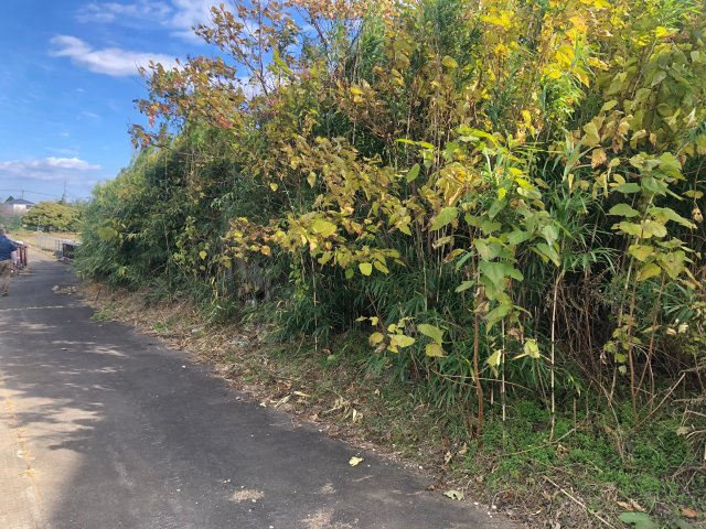 高崎市足門町の前面道路含む現地写真|閑静な住宅街