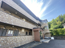 サントラピーヌの画像