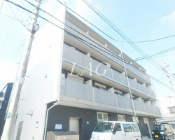 ｍｏａｎｉ　ｈｉｌｌｓの画像