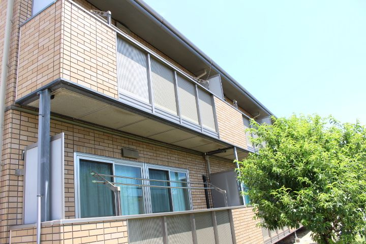 ハイムアネシス