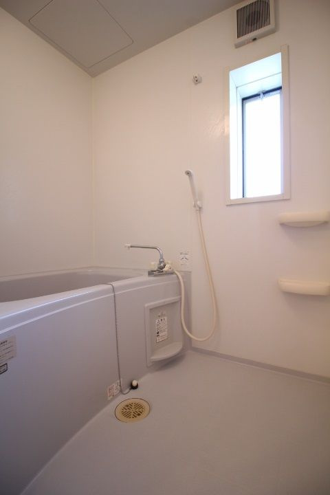 ハイムアネシス