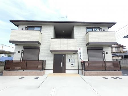 ウィットアイドル