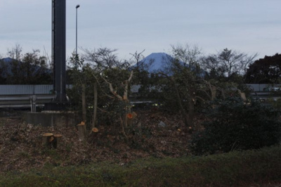 【展望】 | ウエストヒルズ