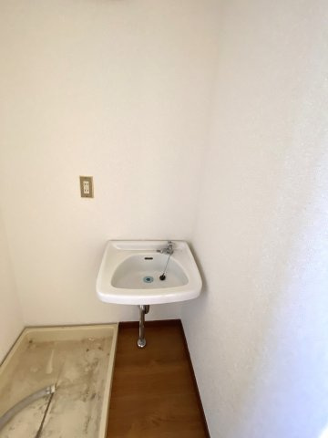 シャレーあそうⅠの洗面所