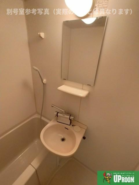 上田パストラルコートの洗面所