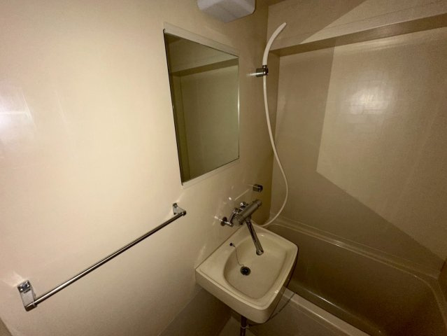 ブラウンコートの洗面所