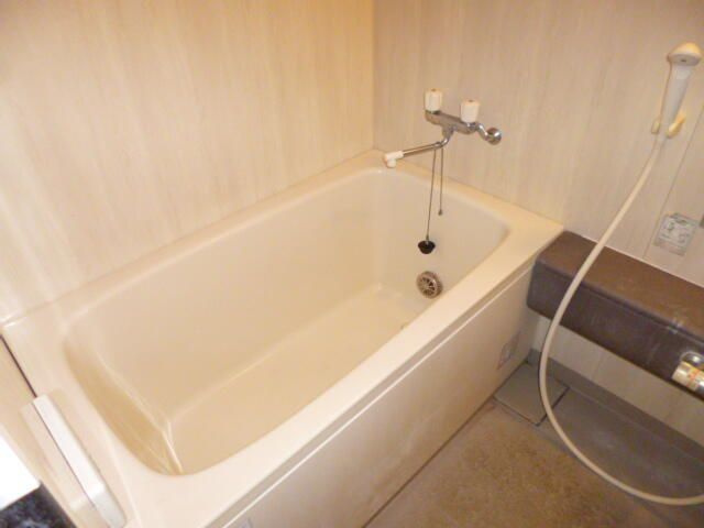 スカイパレス光が丘Ａ棟の浴室