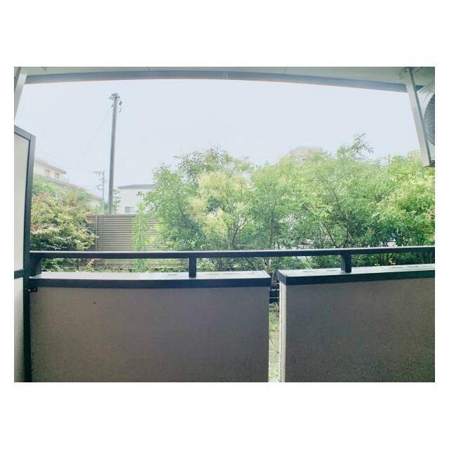 フジ・プライムコートの展望